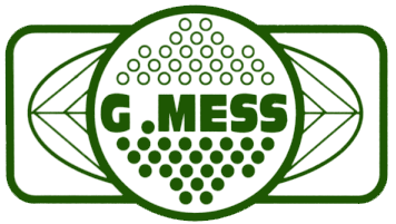 GMESS